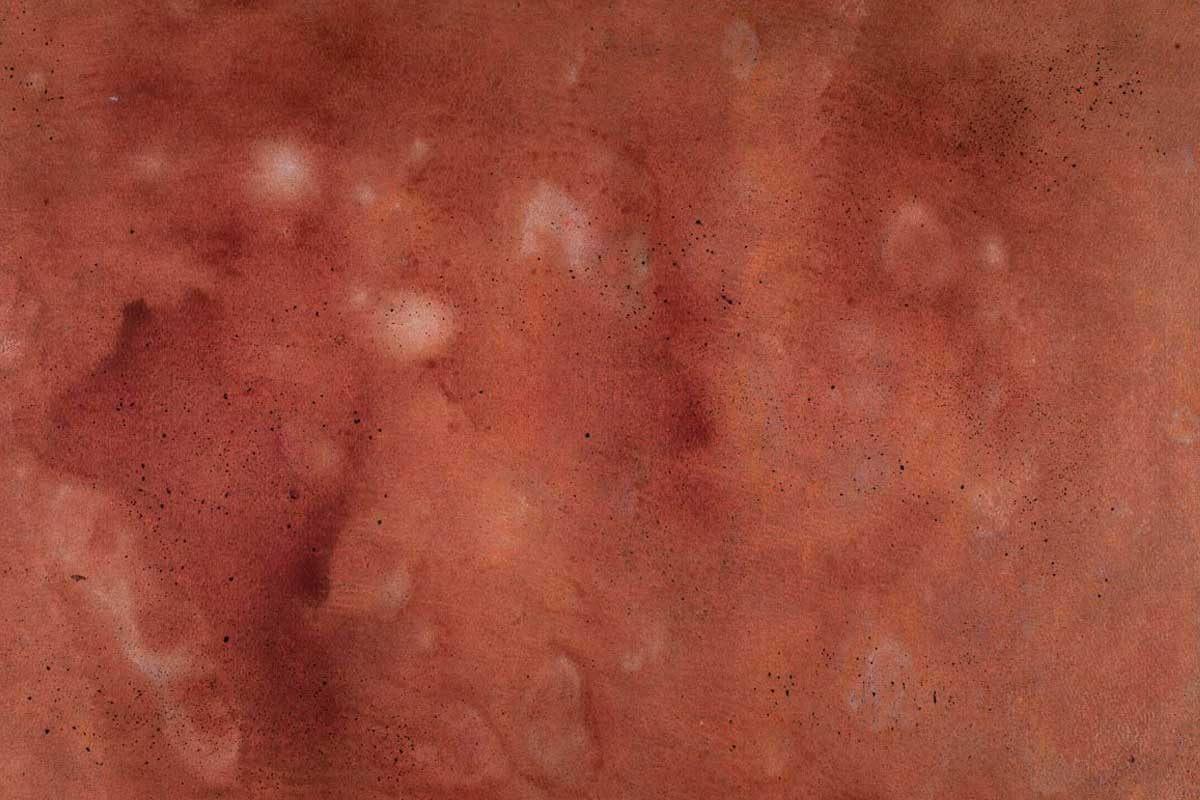 PORTADA-TIERRASRARAS